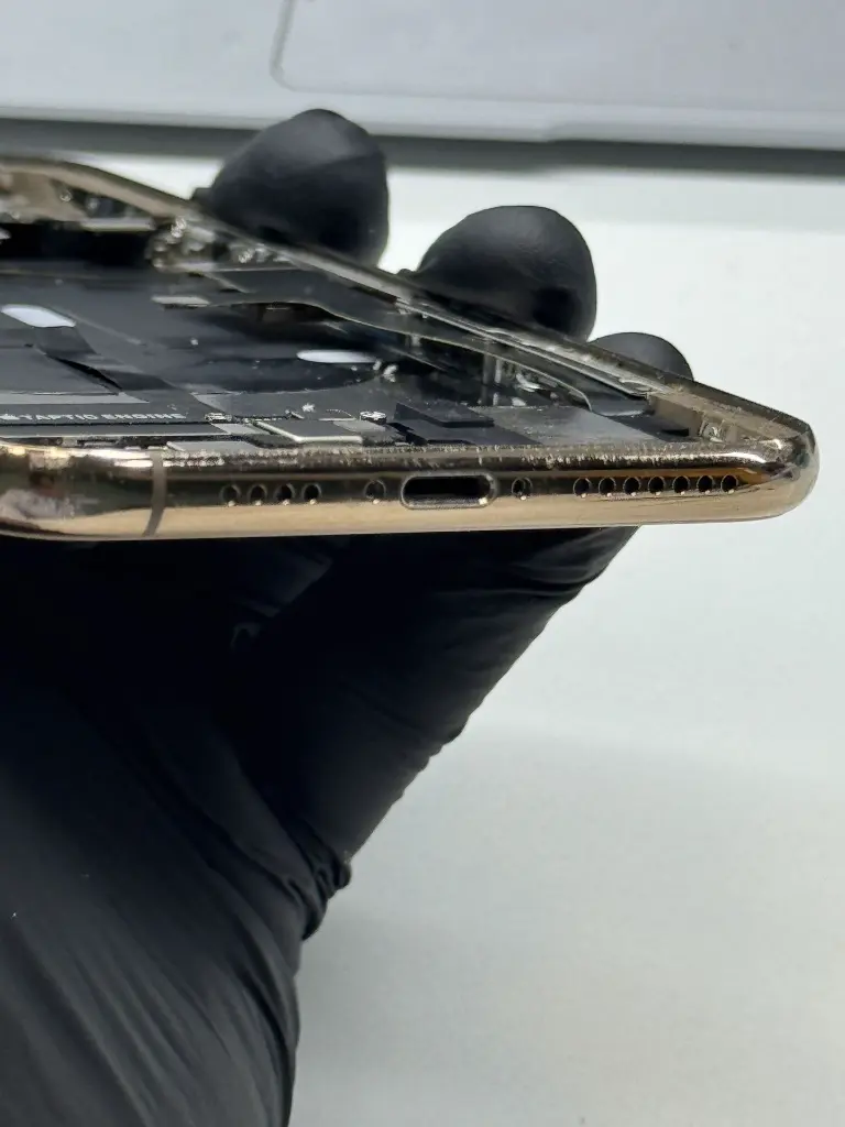 IMG_6066.webp